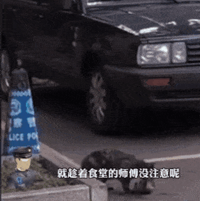 看看,这简直是送上门的鱼赃俱获人家选择从接警大厅门前大摇大摆的