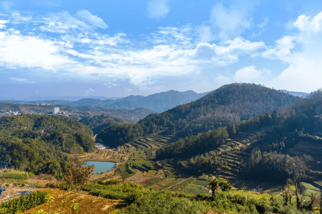 盘龙梯田