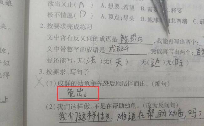 95后老师直言小学生作文啥都敢写家里的秘密都被老师知道了