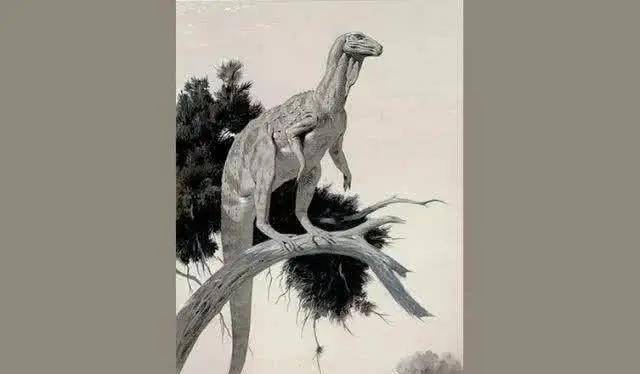 科学家怎么知道恐龙真实样子?