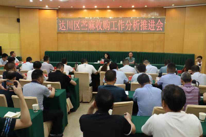 达州市达川区召开苎麻收购工作分析推进会_张家芳