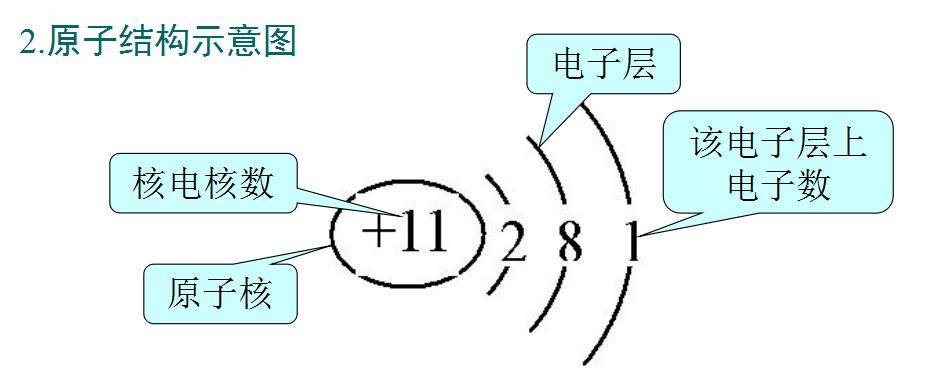 原子核外电子的排布-离子的形成