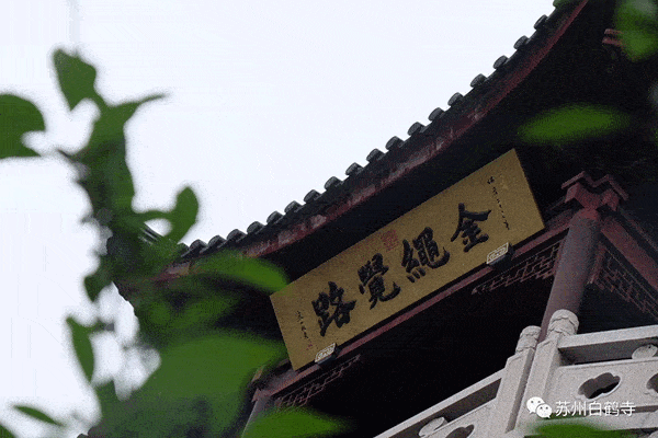 苏州白鹤寺历久弥新