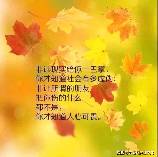 最新版的微信说说,超精致超走心,诉说了你的心情_生活