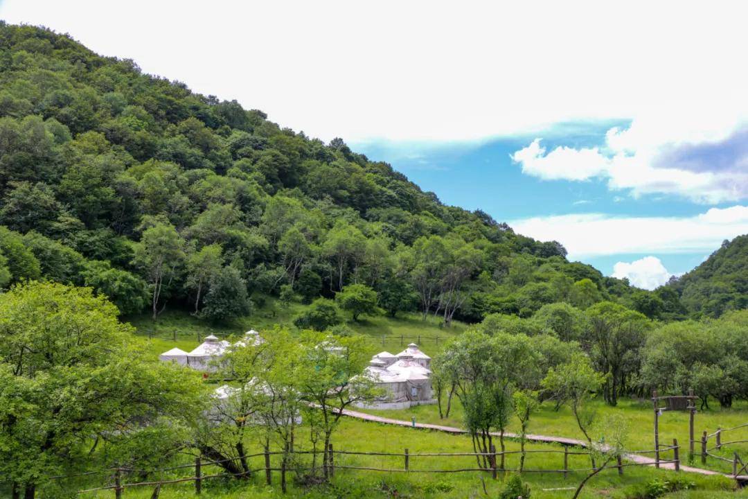 大水川61九龙山暑期福利来袭,免票了!_景区