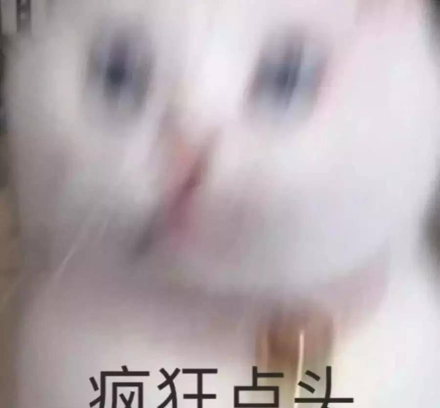 萌宠"发飙"表情包:老虎不发威拿我当病猫吗?
