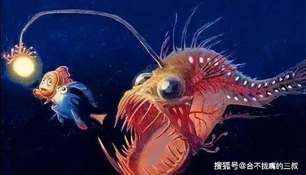 深海怪鱼雄性变为雌性的睾丸,"丑豆腐"长的丑却十分美味