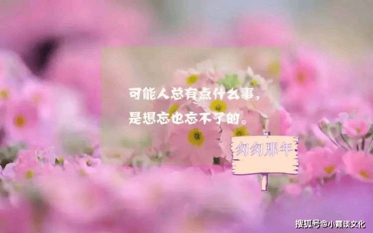 2021最火的一句话,穿透人心,说尽现实