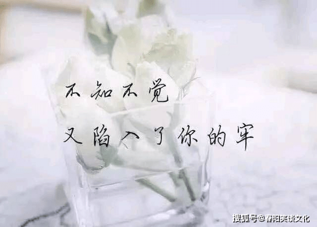 深夜里最心痛的句子,锥心刺骨,瞬间泪奔