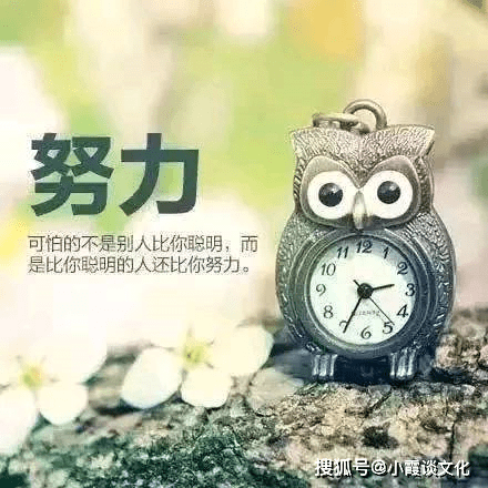 现实到噎死人的句子,精辟犀利,发朋友圈句句获赞