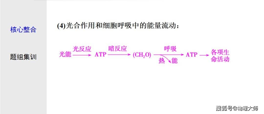 初中生物:光合作用与细胞呼吸知识点详解!