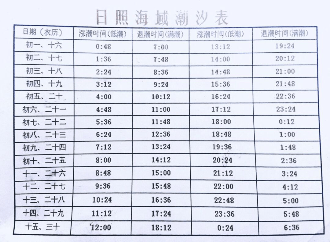 日照亲子赶海攻略这十大注意事项以及潮汐表你都get了吗