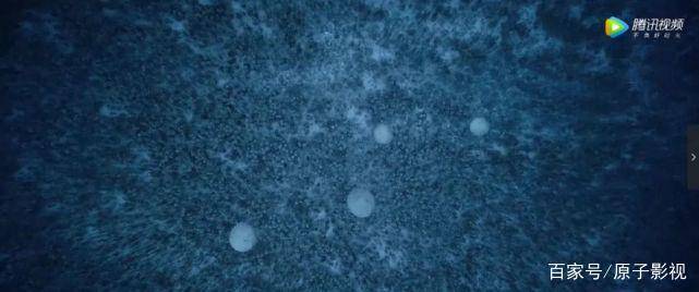 原创电影解析《悬崖之上》第一期 揭秘大雪中老戏骨间的对手戏
