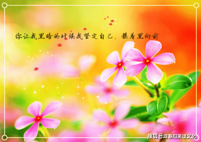 2021最美励志心语,阳光正能量,让人瞬间满血复活