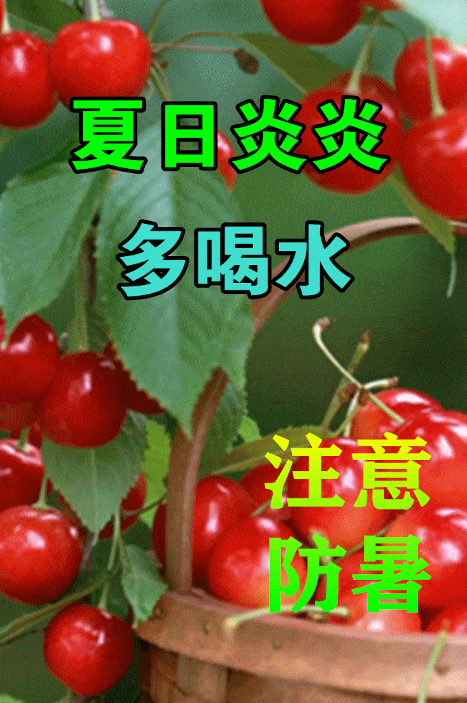 2021年7月28日星期三清晨早上好问候图片 周三最新早安问候祝福图片带