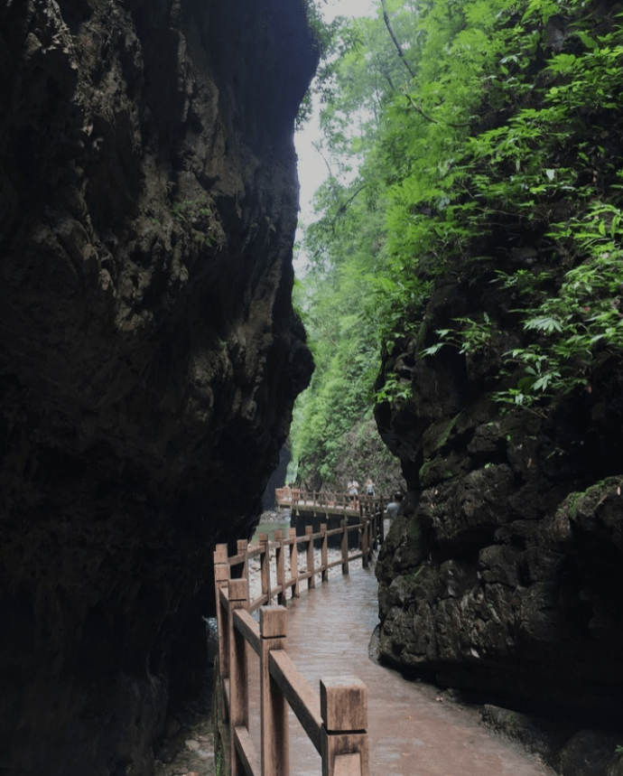 万盛黑山谷南天门避暑房成重庆旅游大热门,坐拥万亩森林,草木入眼