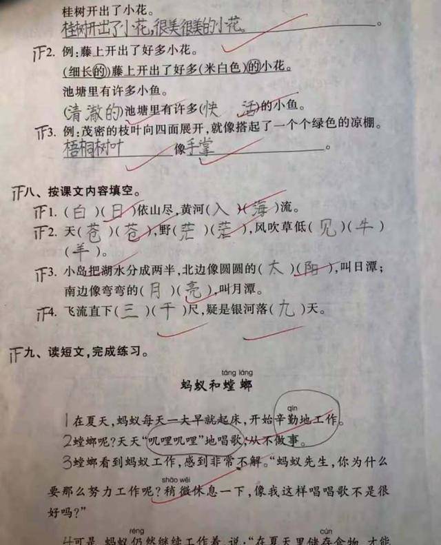 家长晒一年级学霸满分试卷,字迹工整,美观大方,成家长