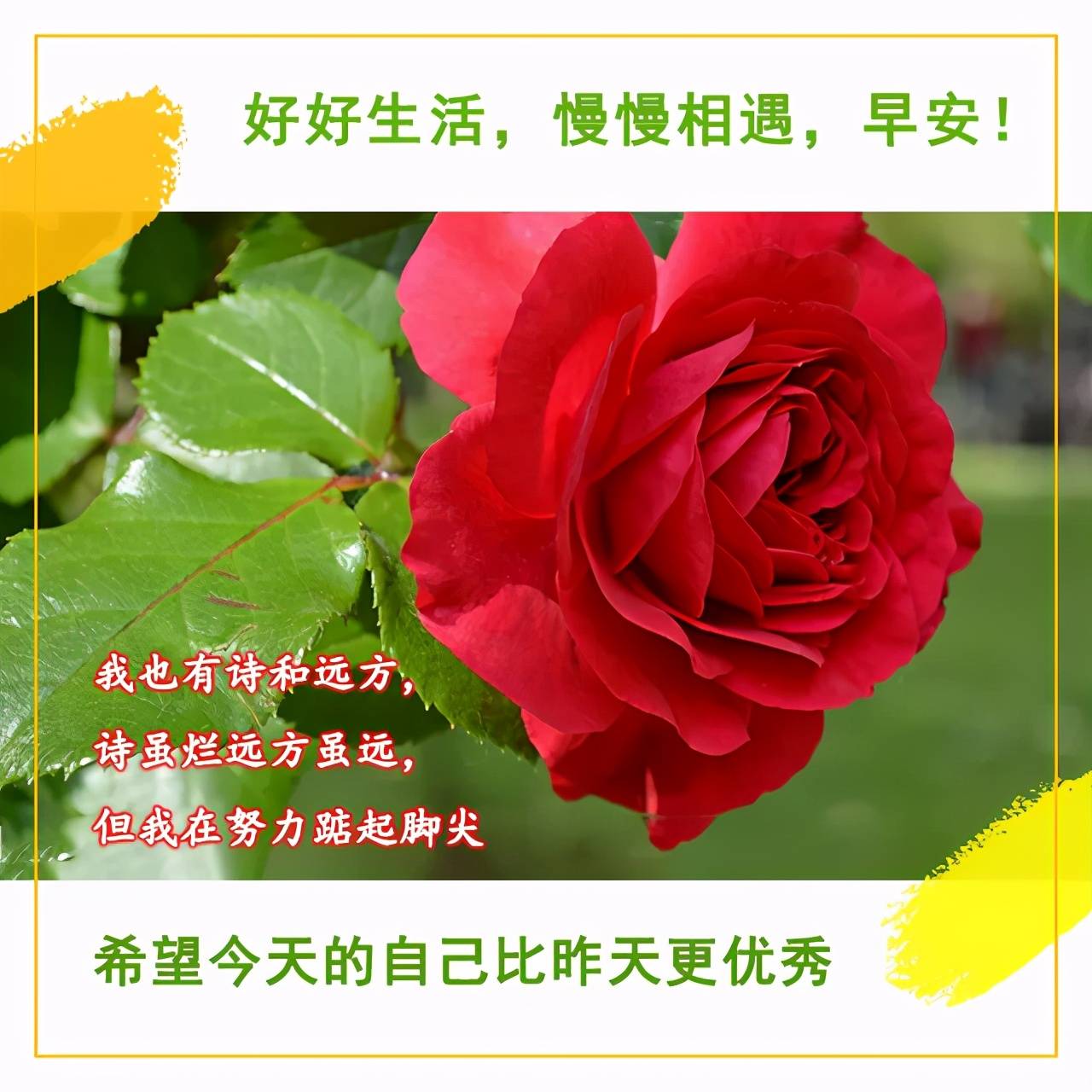 原创早安心情愉快的句子早安唯美图片文案早上好健康平安吉祥祝福语