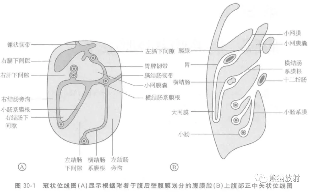 肠系膜解剖,好难!