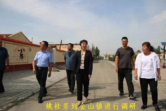 固阳县委常委,纪委书记姚桂芳到金山镇 进行调研_工作