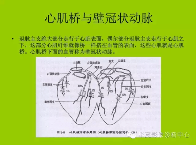 冠状动脉解剖与基本疾病诊断