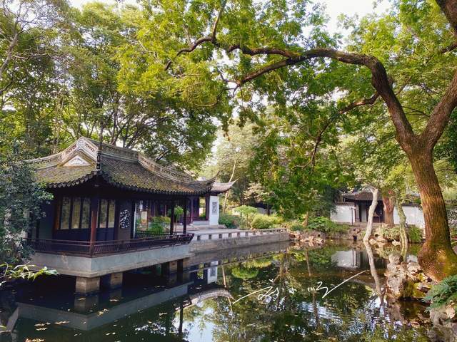 原创上海市嘉定区有一座著名的"江南园林",门票很便宜,游客却不多
