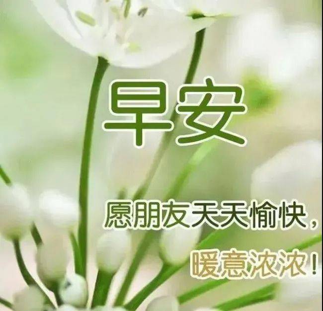 8张秋日清晨非常漂亮的早安表情图片 2021秋日群发早上好问候免打字