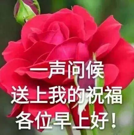 2021新版早上好图片,最新版早上好的图片 2021年8月11日最新大家早上好祝福问候语图片大全