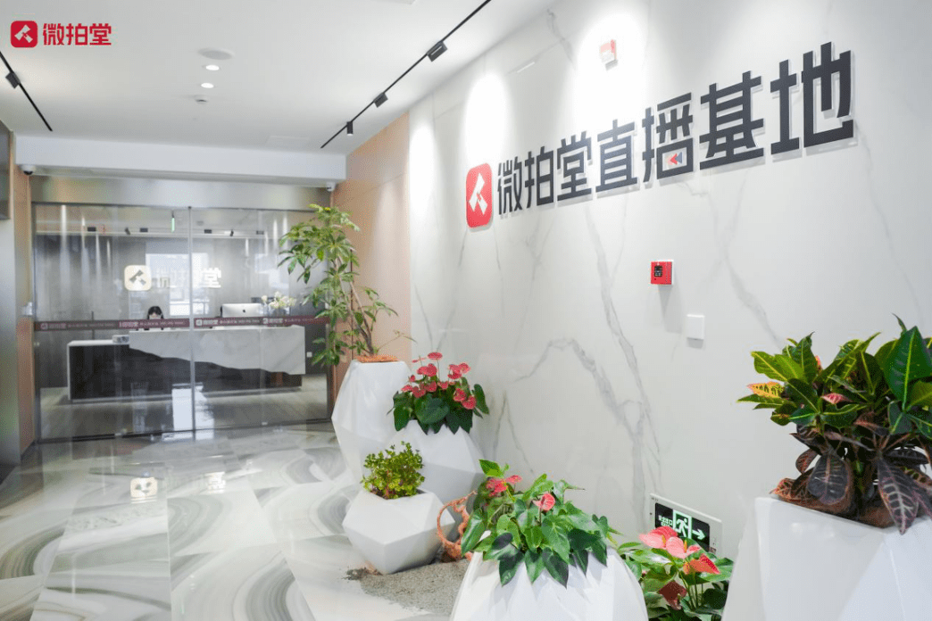 权威报告创业7年微拍堂崛起为行业领军者