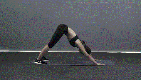 家长必看!暑期中小学各水平段学生体育锻炼指南(动图版)