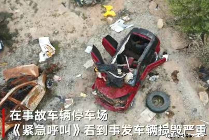 "谢大脚"车祸背后,母骆驼肚中有崽被撞内脏散落,公路事故多发