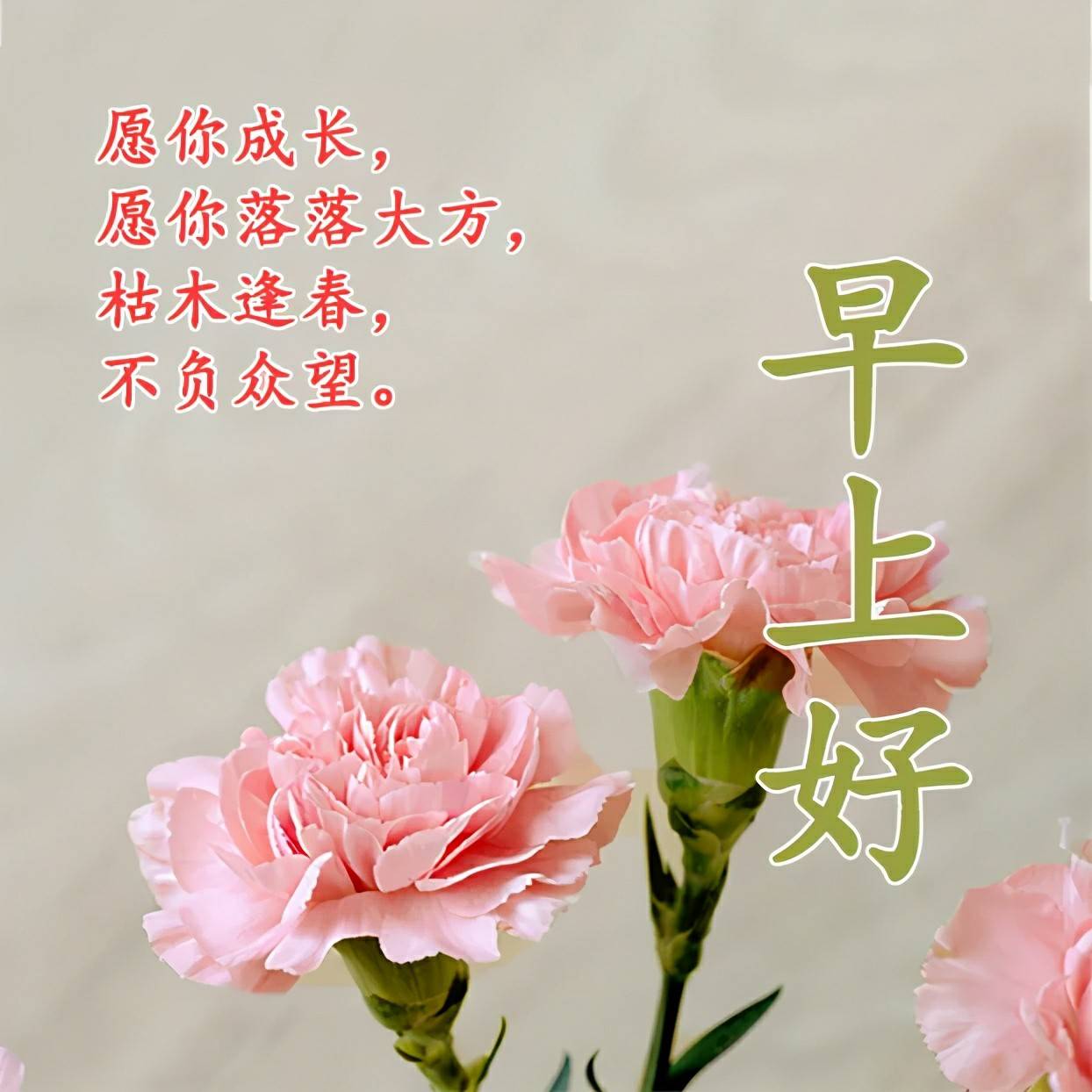 早安心语,早上好温馨祝福图片