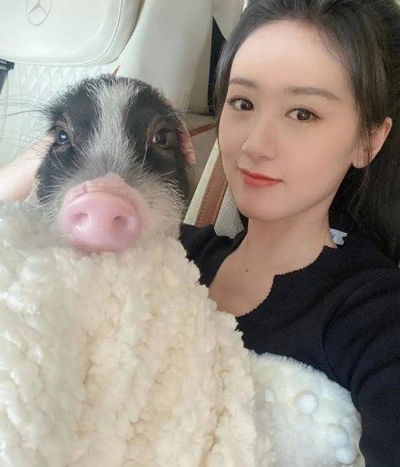 袁冰妍有多喜欢他的宠物猪?