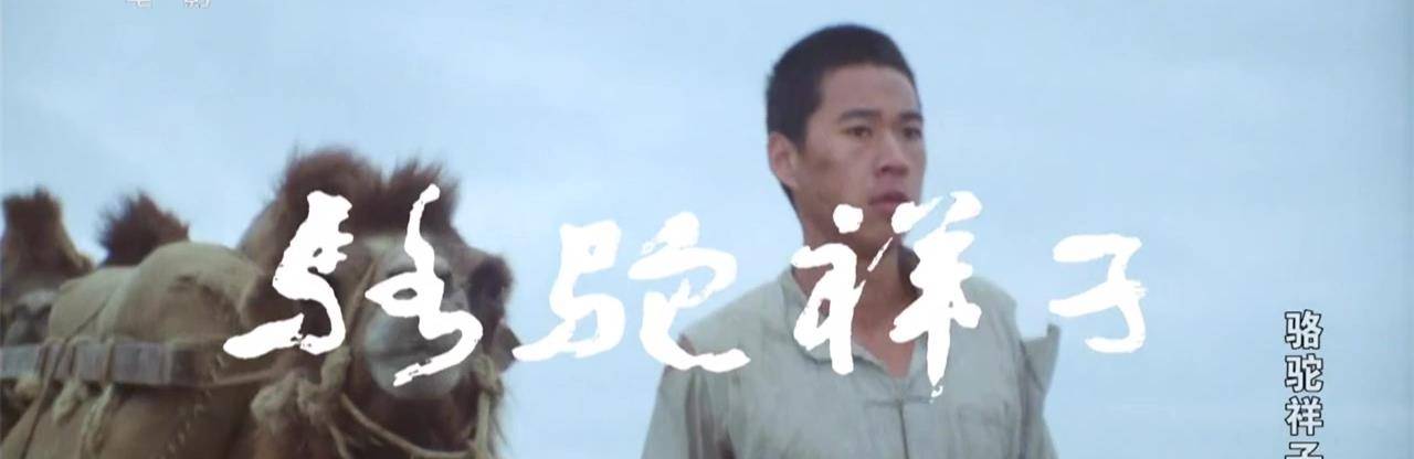 原创骆驼祥子之孙侦探只会倾轧底层人的恶势力代表