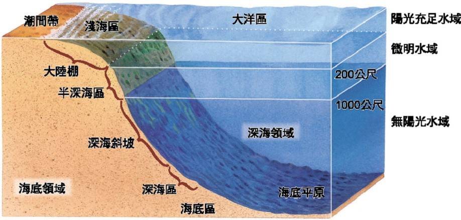 tips:浅海区指海面以下200米内的区域.