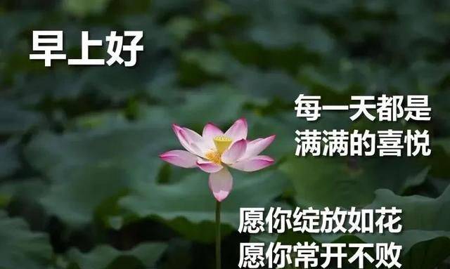 8张创意好看的出伏早上好快乐表情包 2021年快乐早上好问候祝福图片