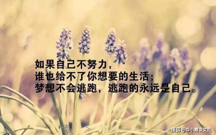让人奋发向上的励志语录,充满朝气,点醒你的迷茫