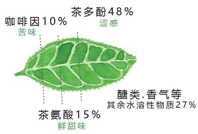 醣类与果胶物质─茶的甜味,滑顺感茶叶内含的醣类物质(包含果糖,葡萄