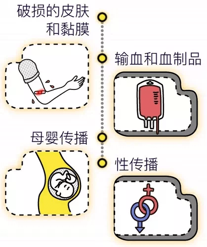 血液传播 来自搜狐网