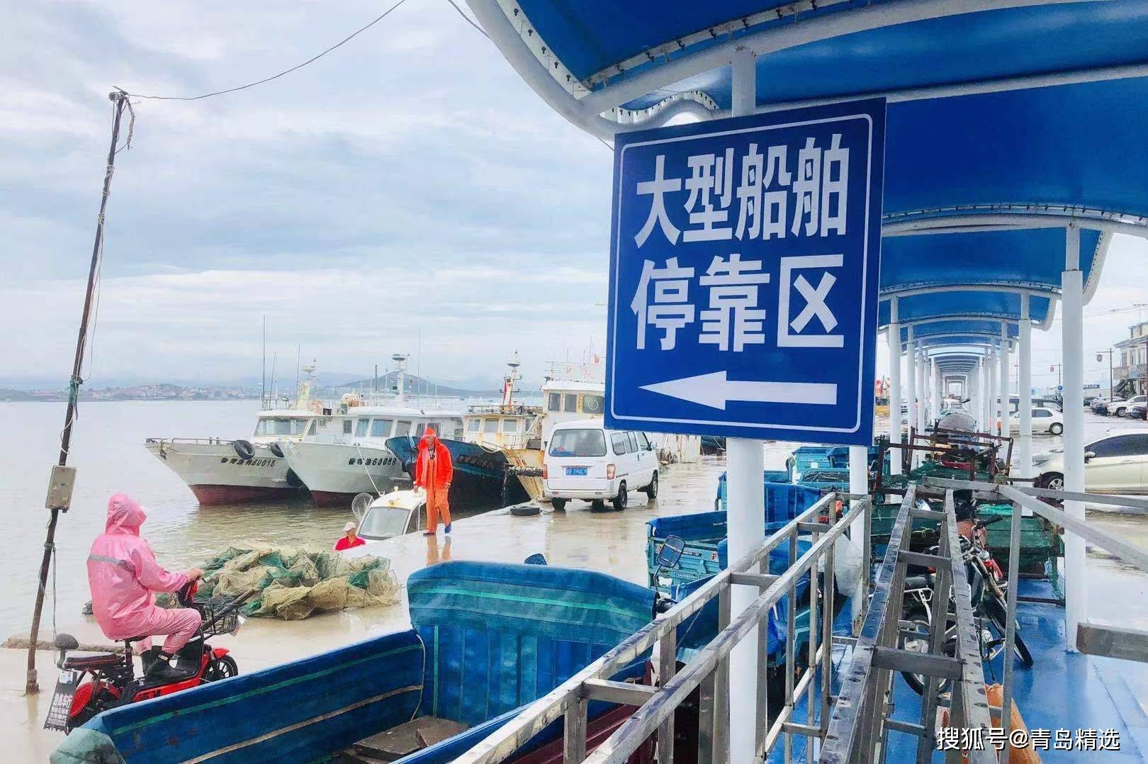 今天青岛开海了