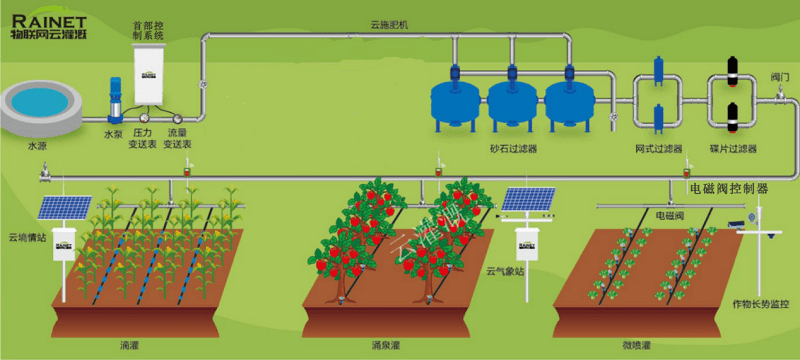 系统基于大数据,云计算,物联网智能感知,自动化灌溉技术实现,在植物