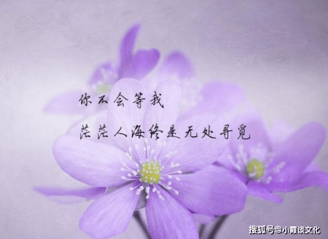 唯美伤感的伤心句子,句句扎心,送给心情失落的你