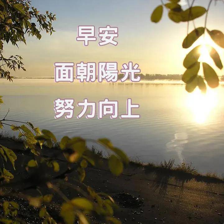 8张白露节气最新创意好看早安带祝福语 免打字白露早上好问候祝福图片