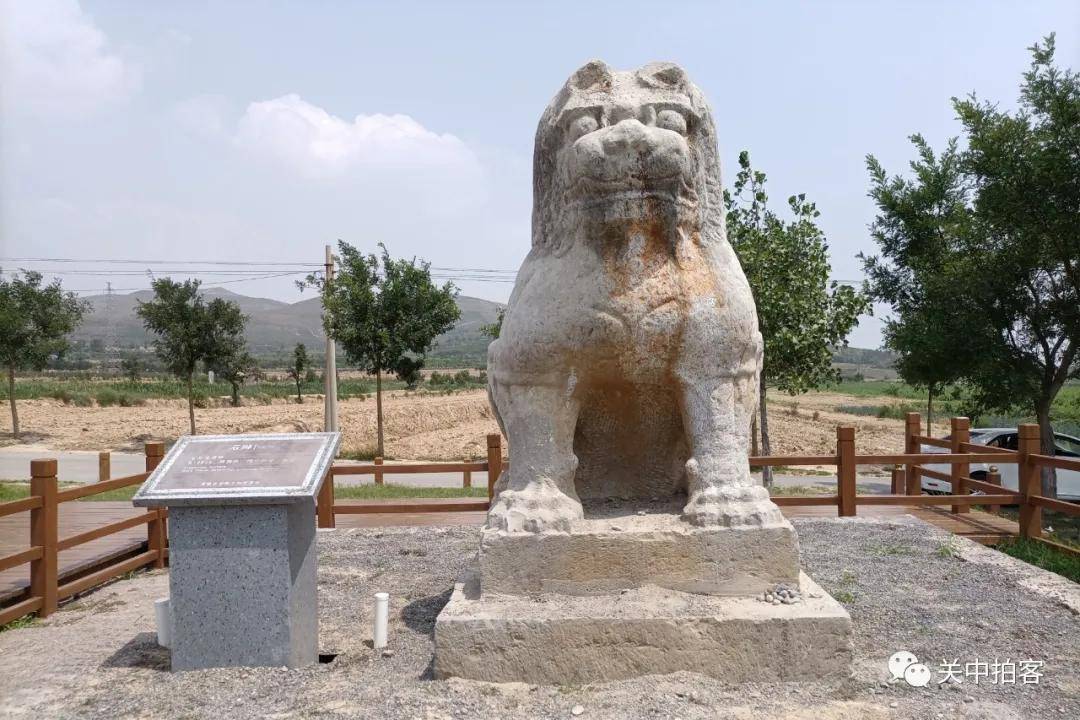 原创蒲城县原家山村:寻访唐景陵西门(白虎门)遗址