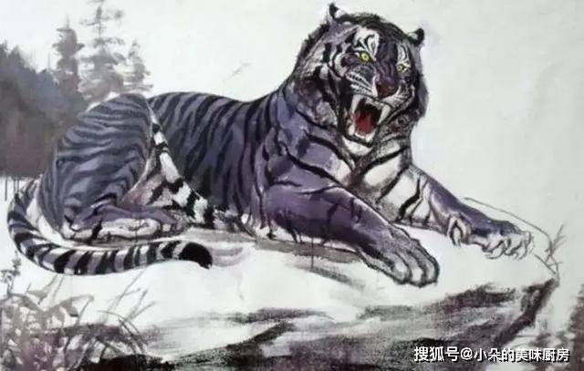 邻国发现罕见黑虎,我国境内还多次出现蓝虎,它们是怎么形成的?