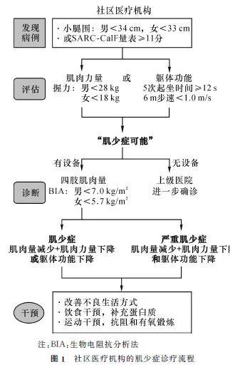 专家共识中国老年人肌少症诊疗专家共识2021