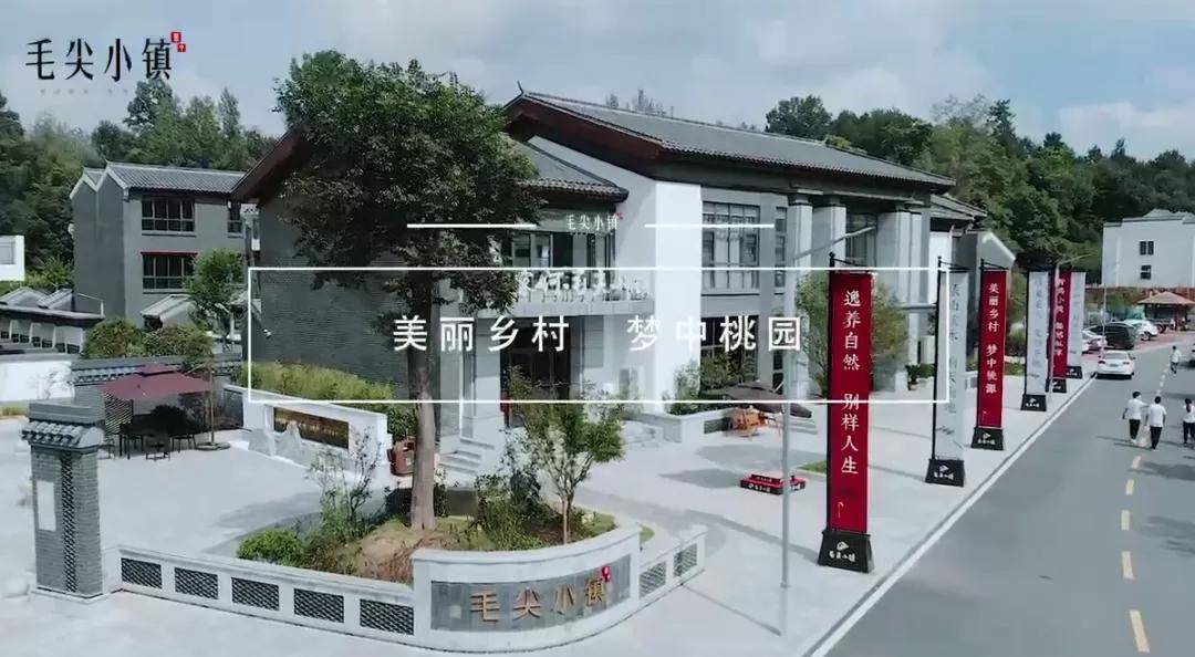 原创"百里茶廊"路上美丽乡村建设者——董家河·毛尖小镇