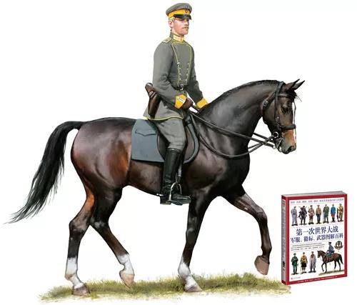 (上图)第3禁卫枪骑兵团的一名中尉,1914年.