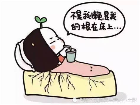 迎娜美|懒癌晚期,你的银河系驾到