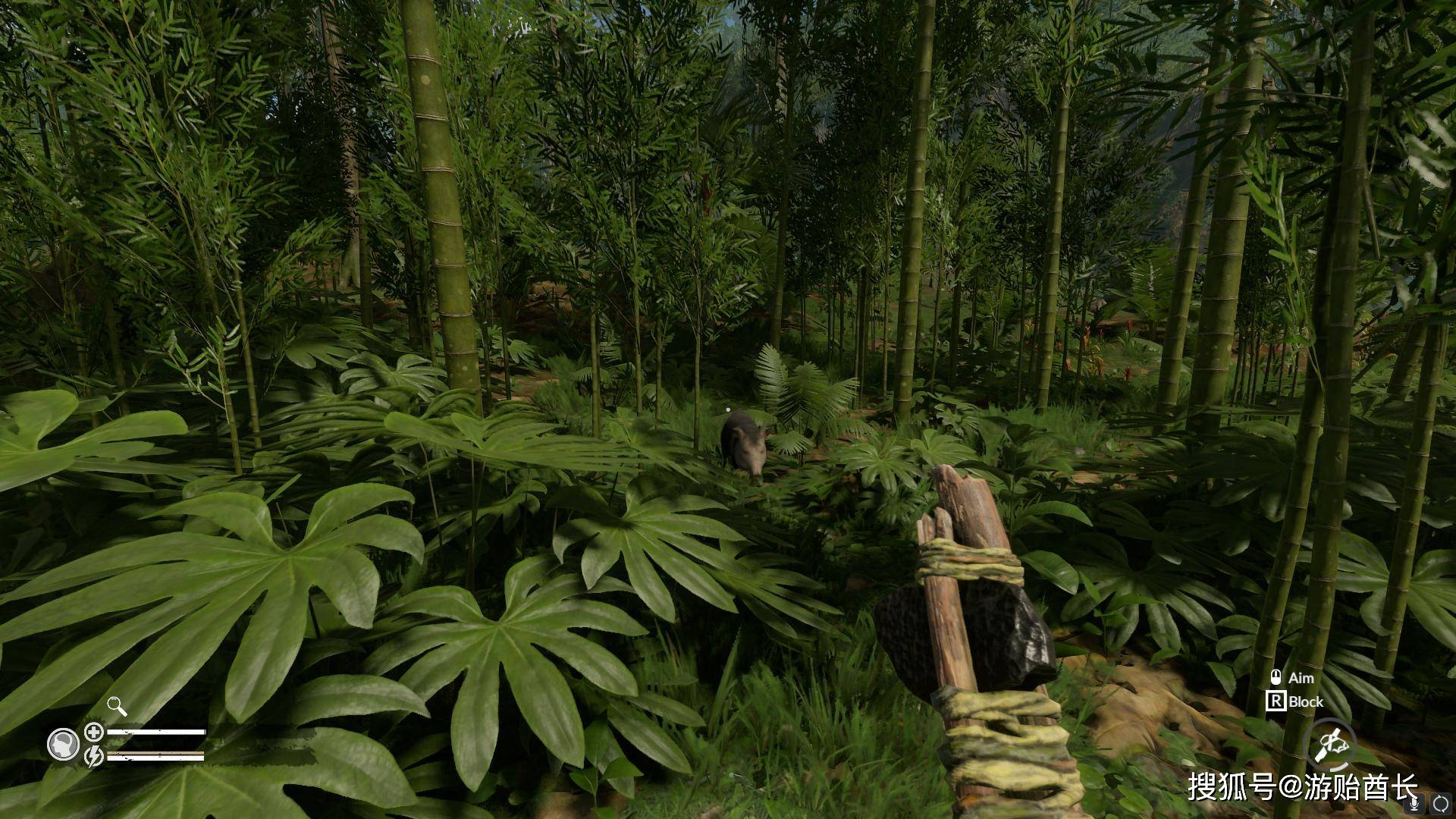 生存游戏《绿色地狱》的开发者宣布游戏的新章节《亚马逊之魂》的第